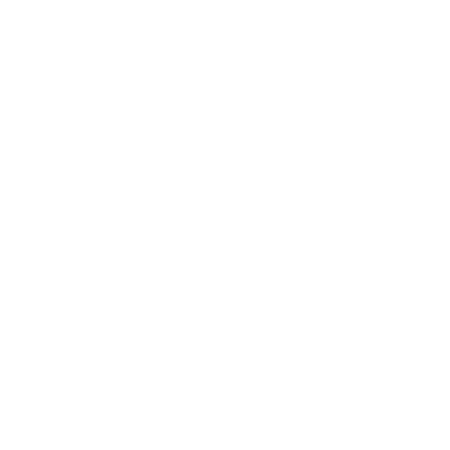 Best Digital Marketing Service in Raipur